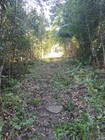 PR-853 Interior Cacao Ward Carolina PR 00987