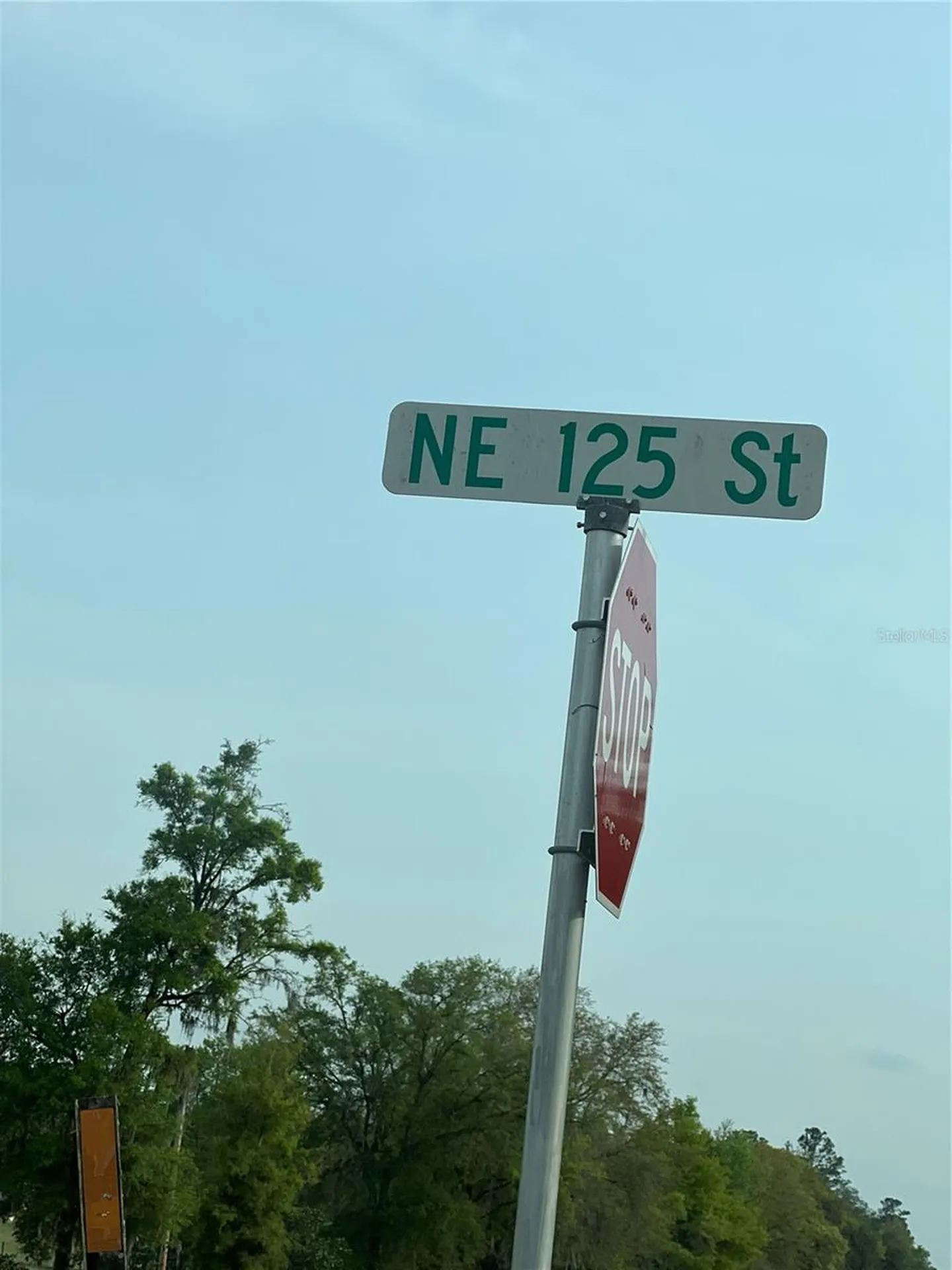 0000 NE 125th Street Bronson FL 32621