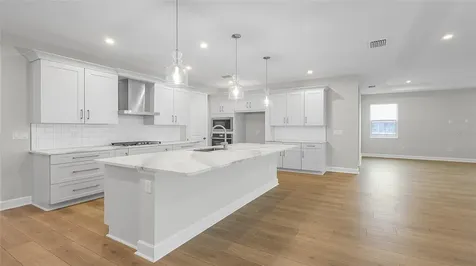 1613 Bellagio Loop Tavares FL 32778