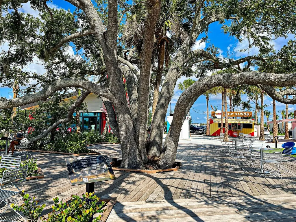 13920 Campoleone Street Venice FL 34293