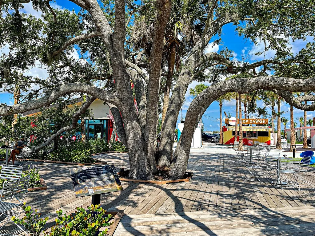 13920 Campoleone Street Venice FL 34293