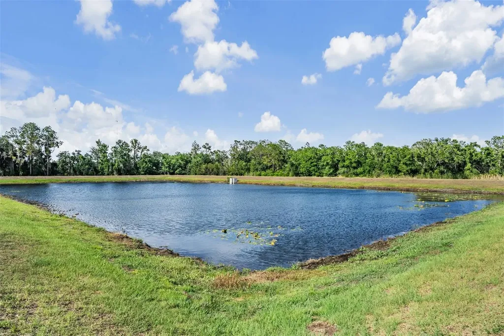 13418 Lakeview Oaks Lane Riverview FL 33579