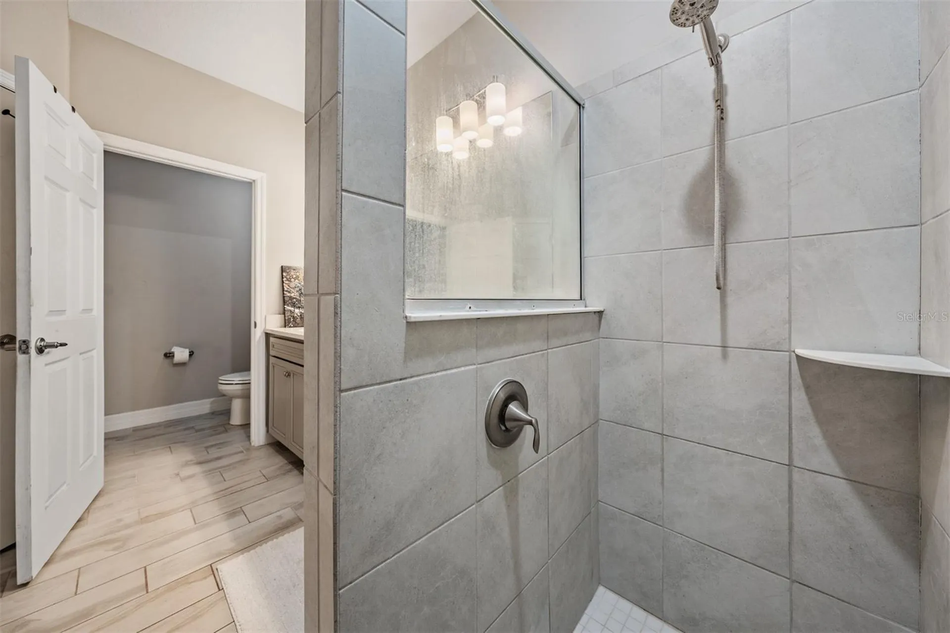 13418 Lakeview Oaks Lane Riverview FL 33579
