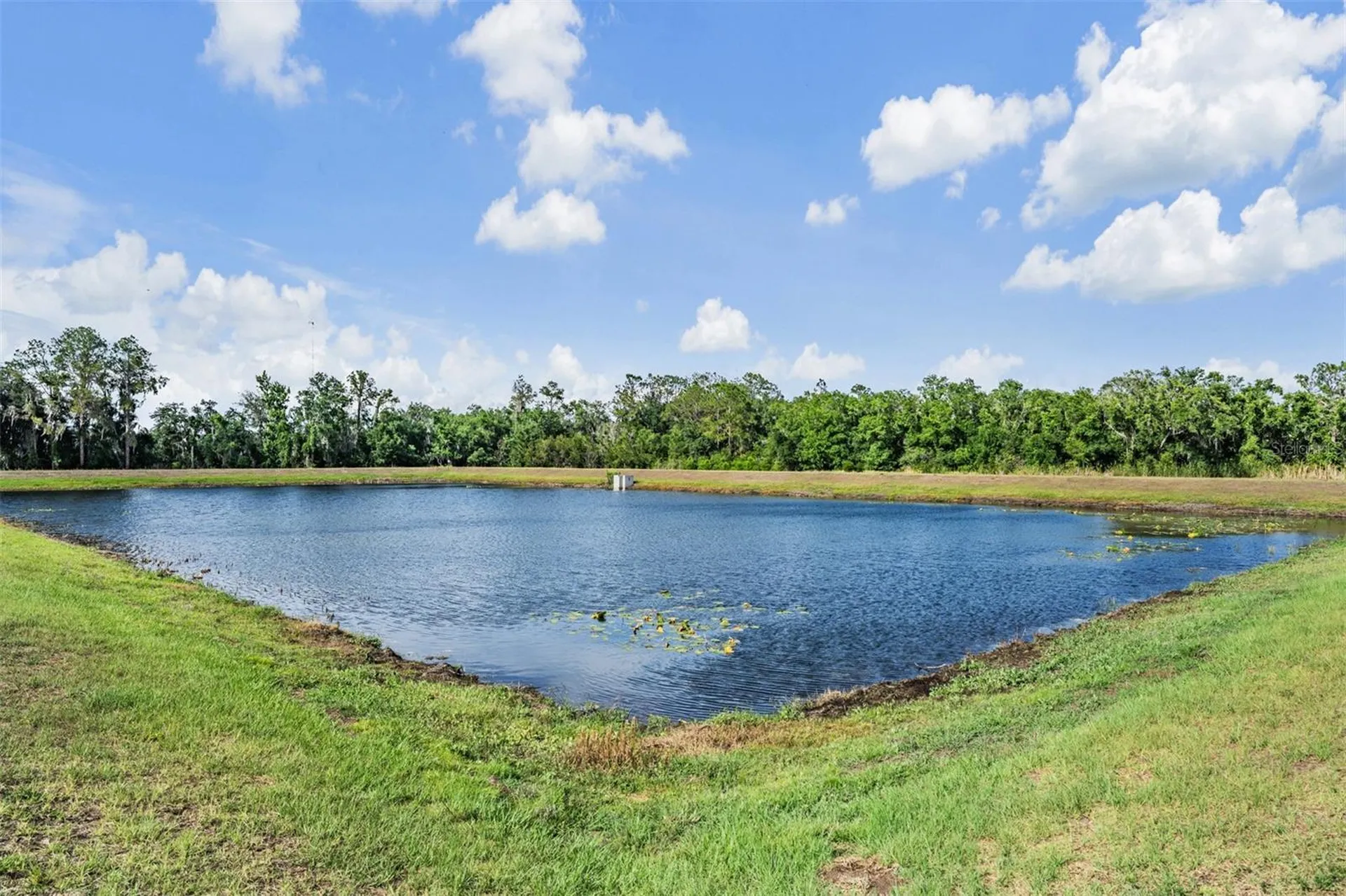 13418 Lakeview Oaks Lane Riverview FL 33579