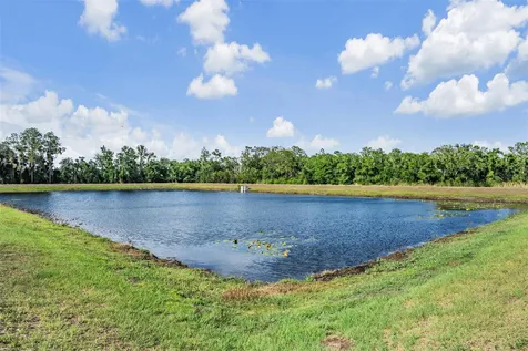 13418 Lakeview Oaks Lane Riverview FL 33579