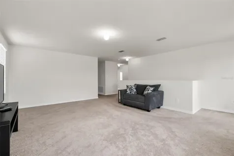 3658 Maidencain Street Clermont FL 34714