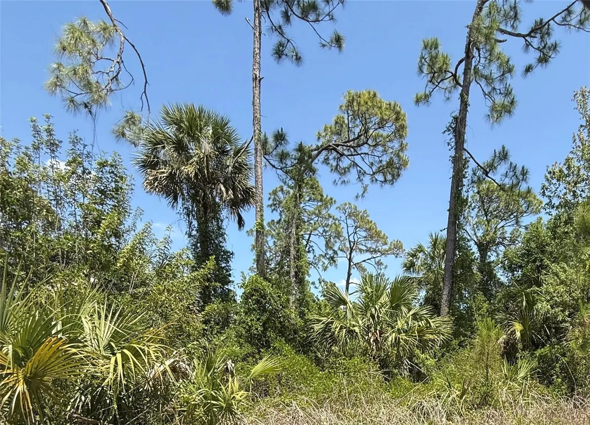 Lot 15 Coastal Street North Port FL 34288