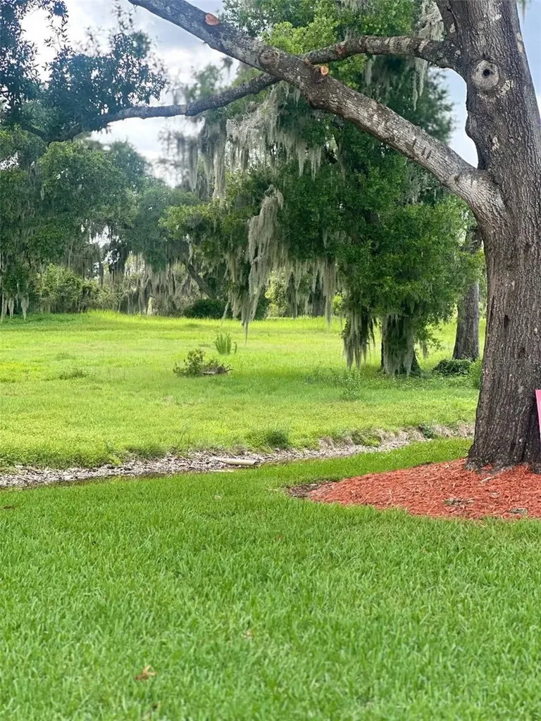 6118 Topher Trail Mulberry FL 33860