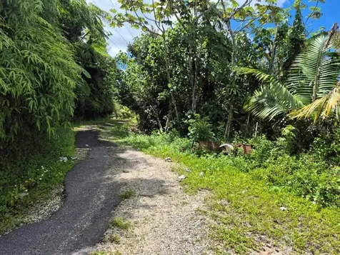 Km 24.1 Pr 143 Juana Diaz PR 00795