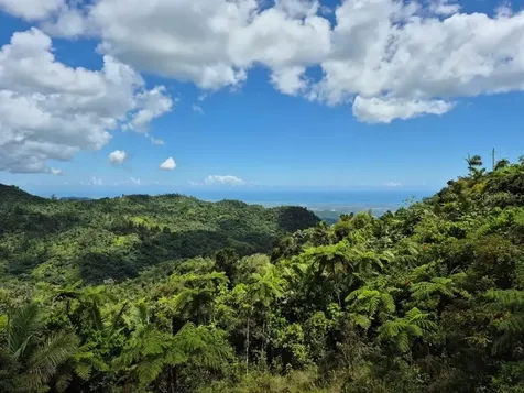 Km 24.1 Pr 143 Juana Diaz PR 00795