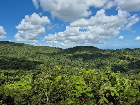Km 24.1 Pr 143 Juana Diaz PR 00795