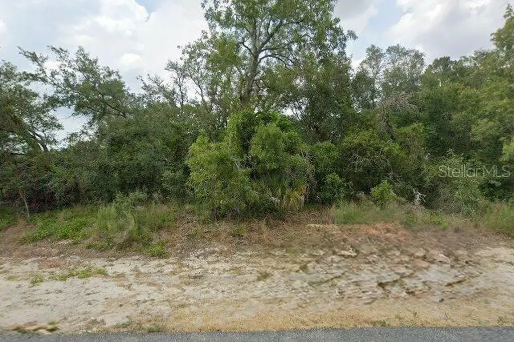 10381 Clarion Street Spring Hill FL 34608