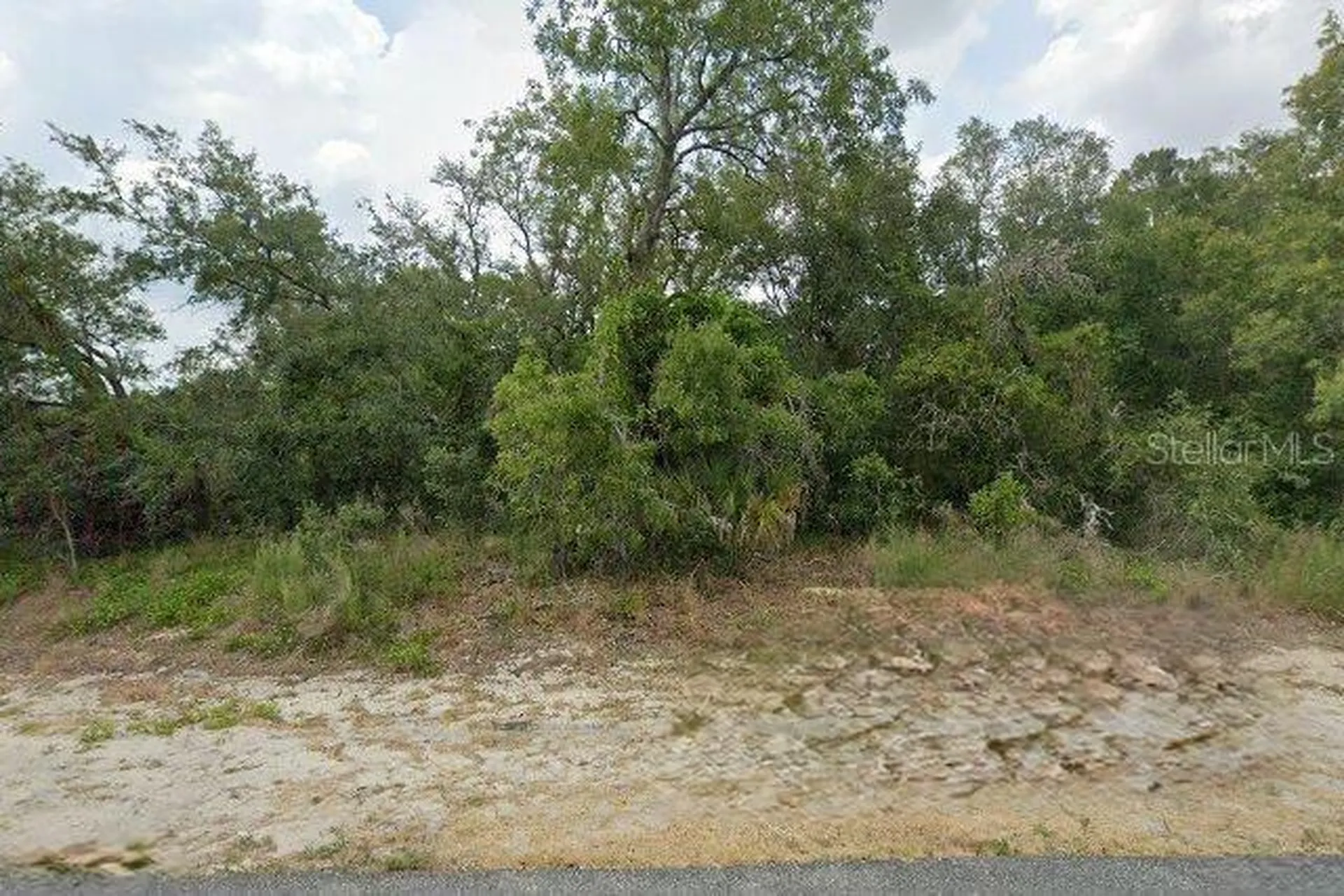 10381 Clarion Street Spring Hill FL 34608
