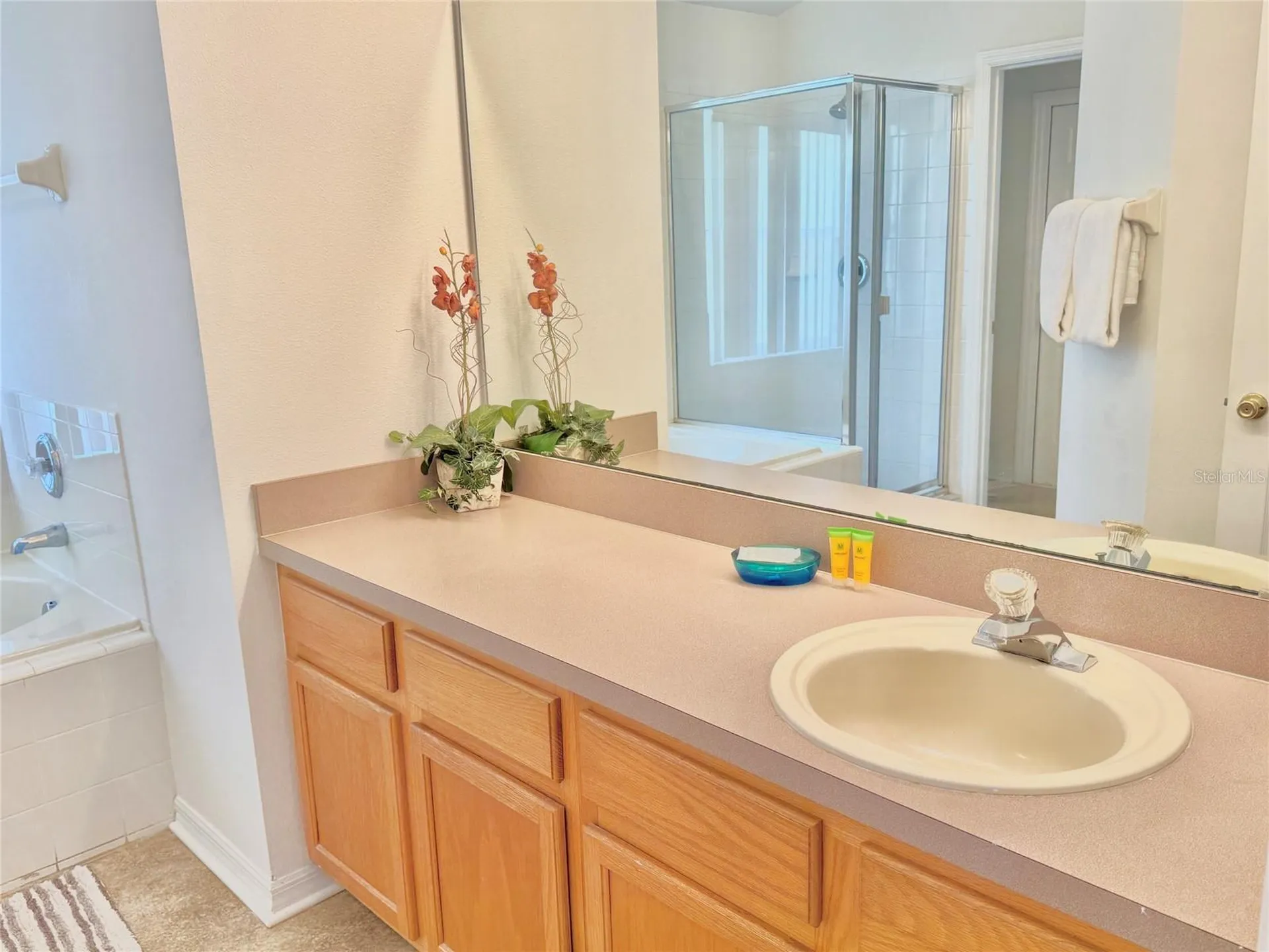 2668 Willow Glen Circle Kissimmee FL 34744