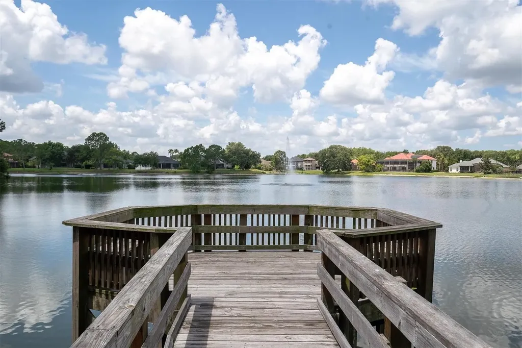 15223 Wind Whisper Drive Odessa FL 33556