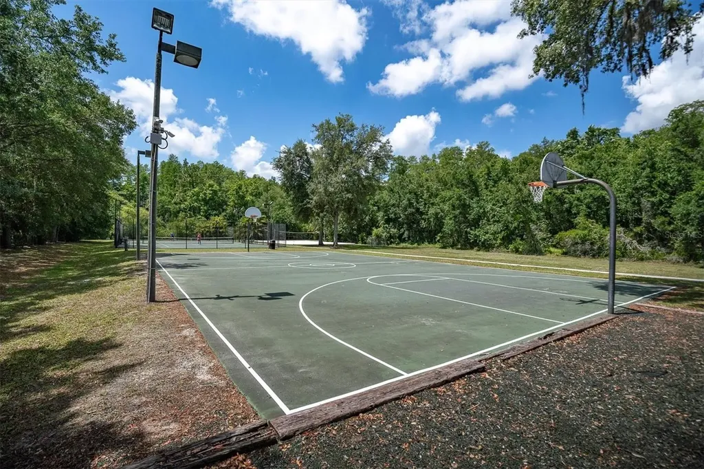 15223 Wind Whisper Drive Odessa FL 33556