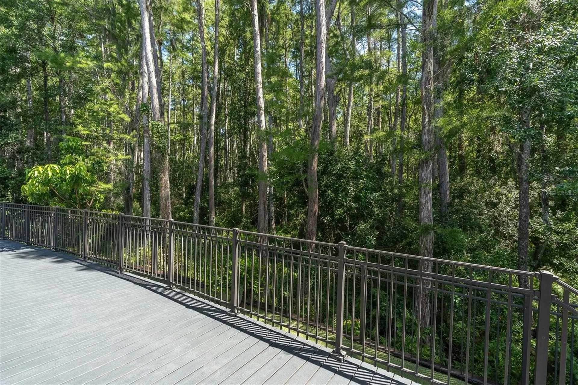 15223 Wind Whisper Drive Odessa FL 33556