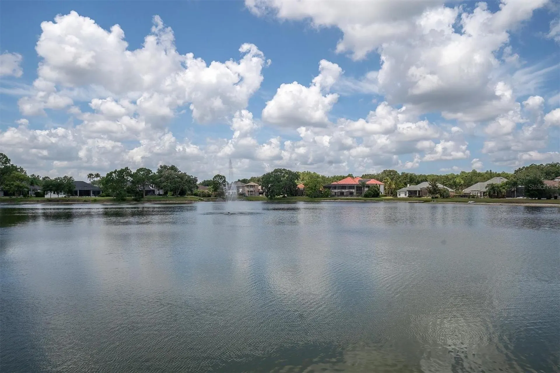 15223 Wind Whisper Drive Odessa FL 33556