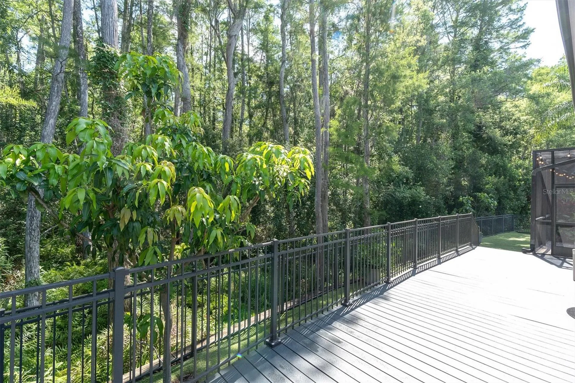 15223 Wind Whisper Drive Odessa FL 33556