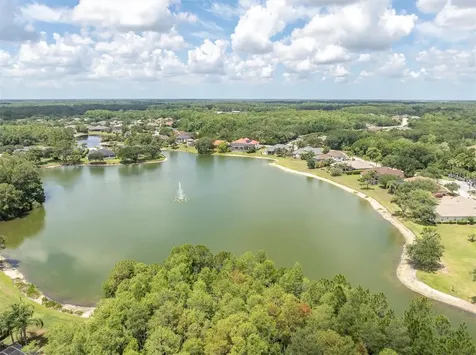 15223 Wind Whisper Drive Odessa FL 33556