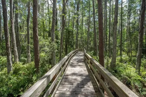 15223 Wind Whisper Drive Odessa FL 33556