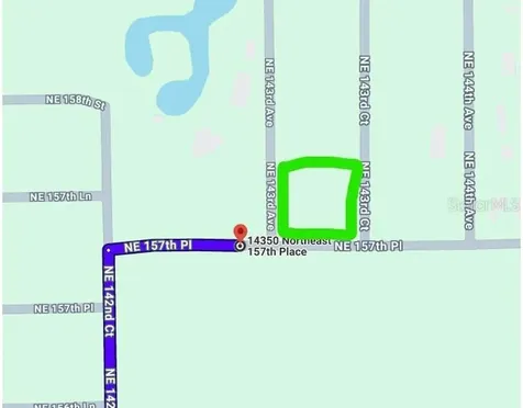 0 NE 157 Place Fort Mc Coy FL 32134