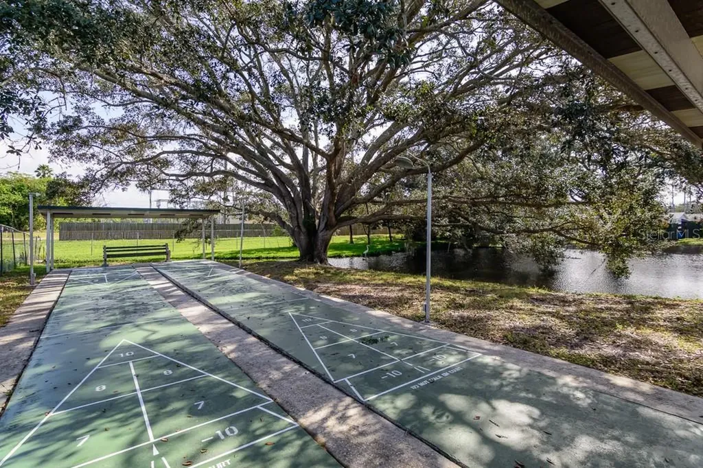 1008 Heron Court Dunedin FL 34698