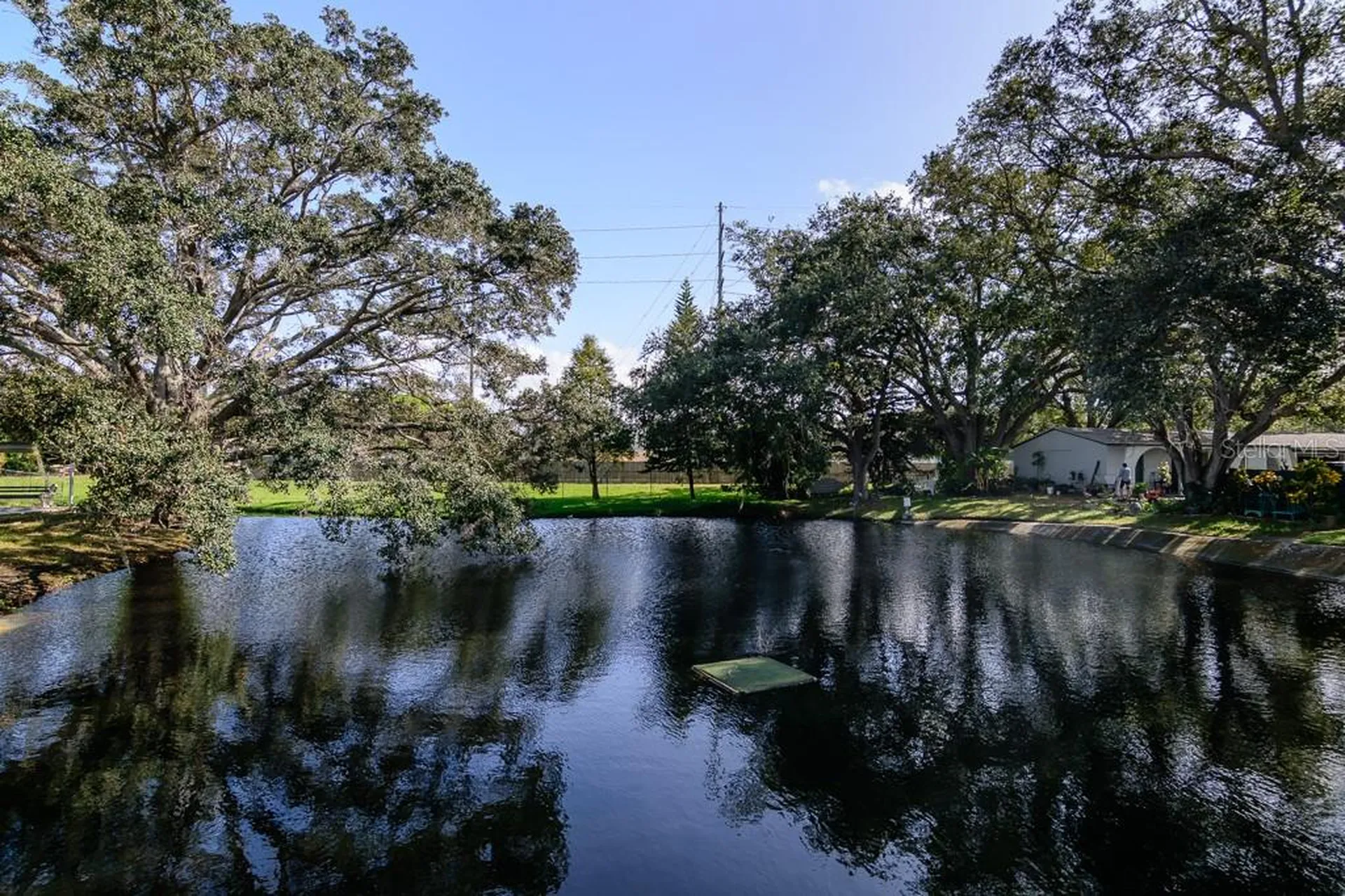 1008 Heron Court Dunedin FL 34698