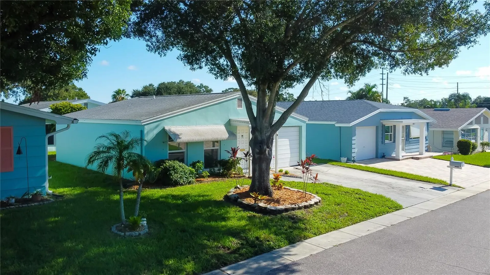 1008 Heron Court Dunedin FL 34698