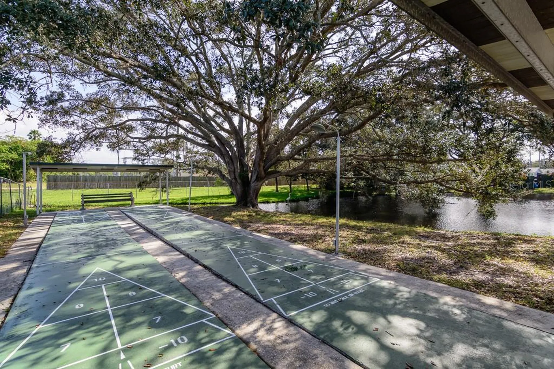 1008 Heron Court Dunedin FL 34698