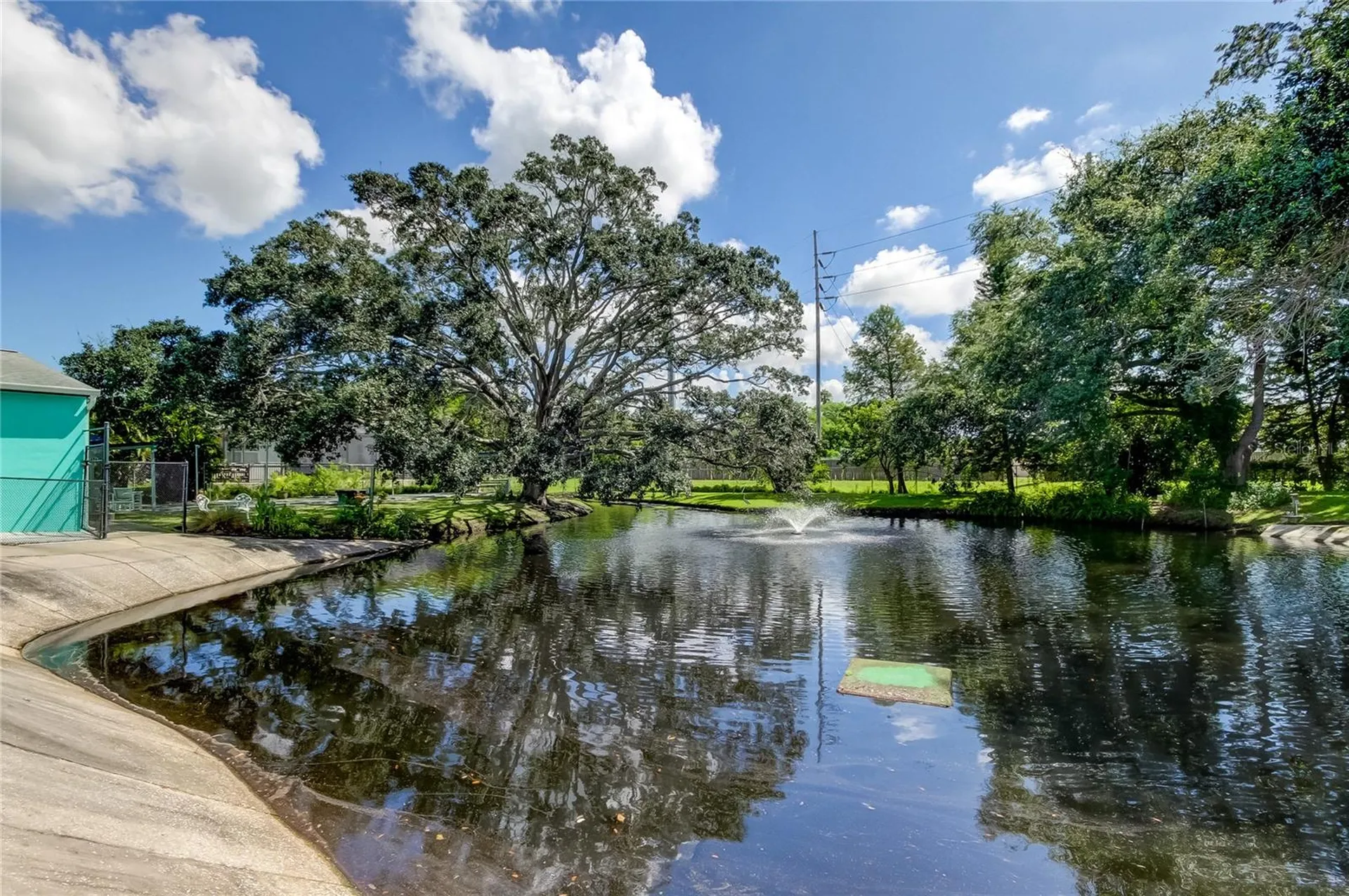 1008 Heron Court Dunedin FL 34698