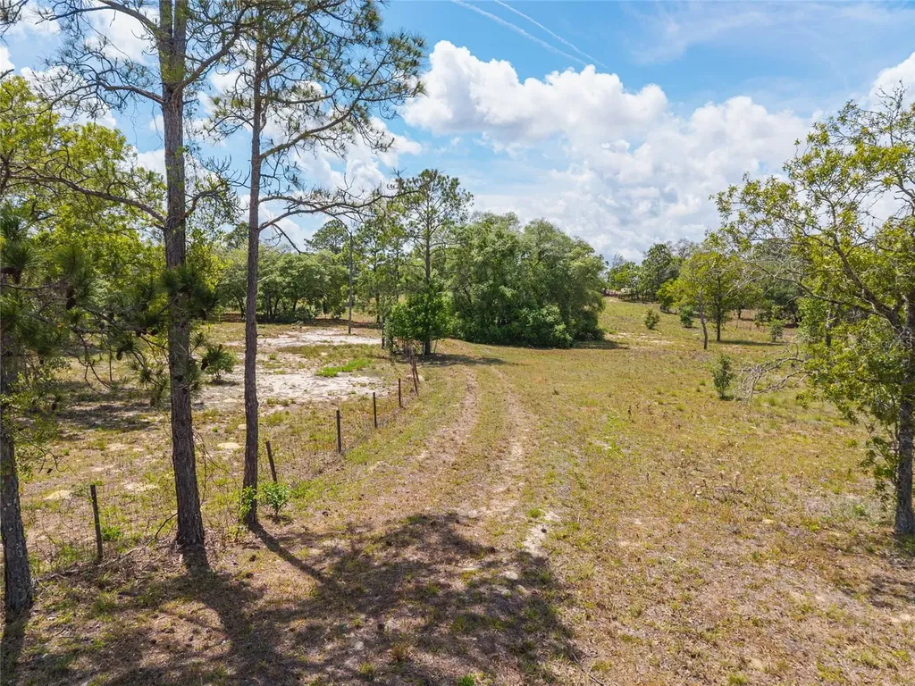 9950 SE 136th Terrace Dunnellon FL 34431