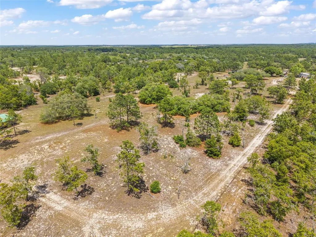 9950 SE 136th Terrace Dunnellon FL 34431