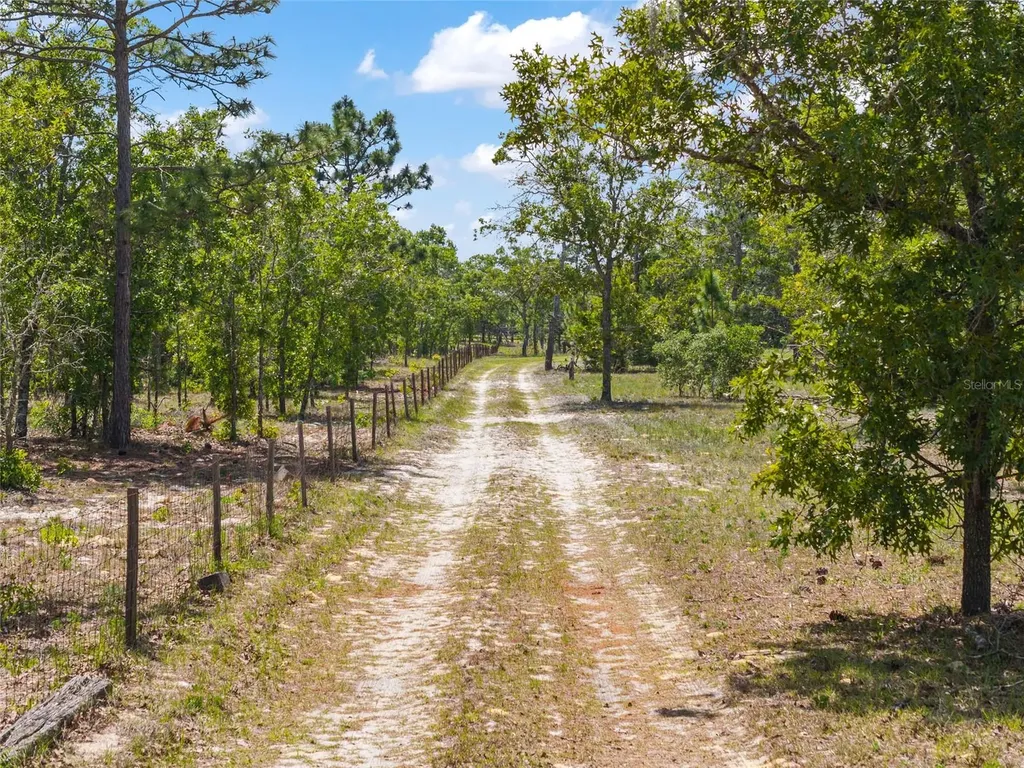 9950 SE 136th Terrace Dunnellon FL 34431