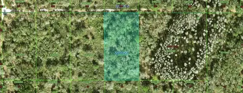 Inaccessible Tract Kathleen FL 33849