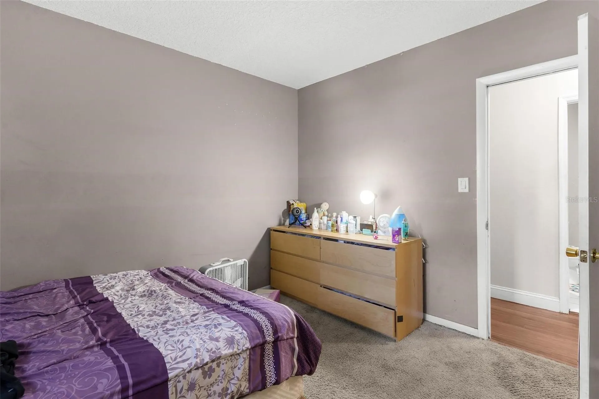 14407 Lake Junietta Drive Tavares FL 32778