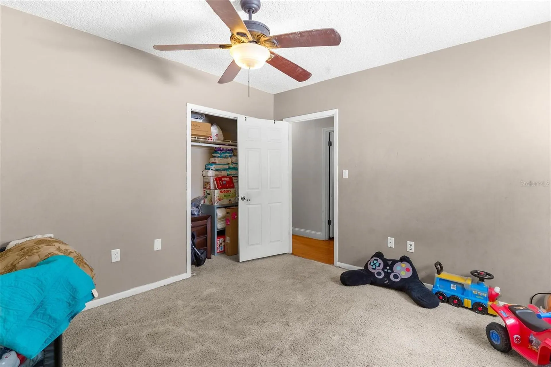 14407 Lake Junietta Drive Tavares FL 32778