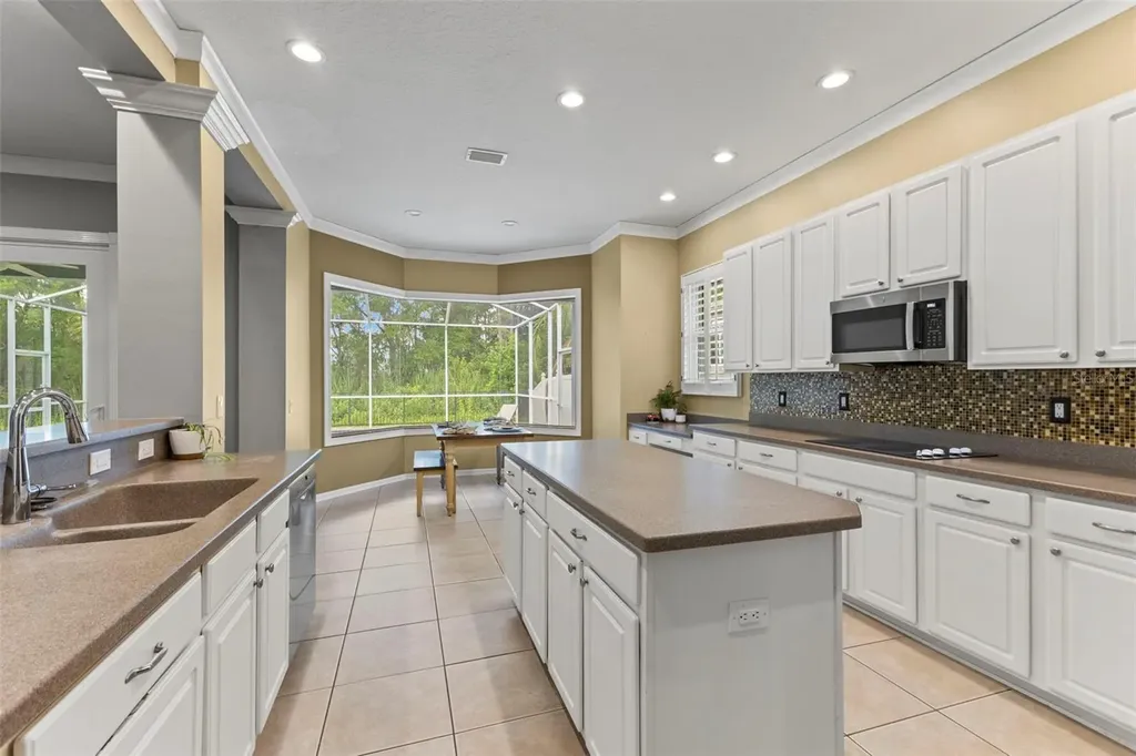 11621 Renaissance View Court Tampa FL 33626