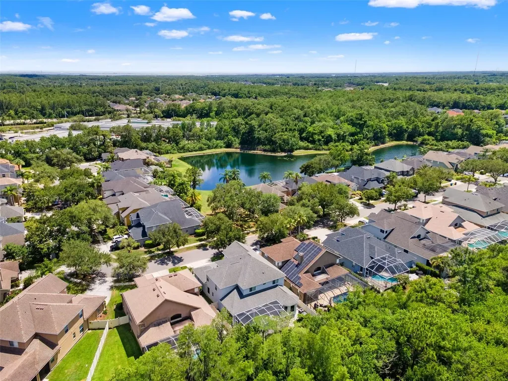 11621 Renaissance View Court Tampa FL 33626