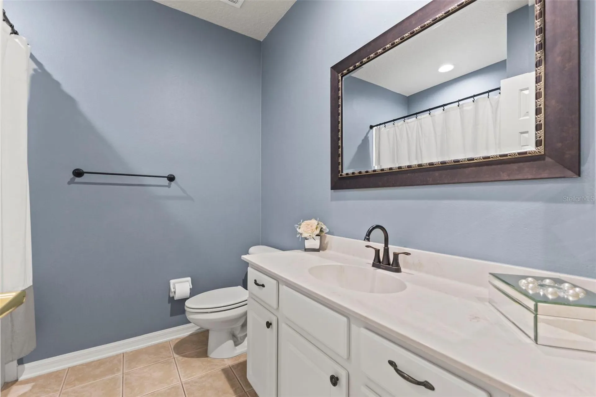 11621 Renaissance View Court Tampa FL 33626