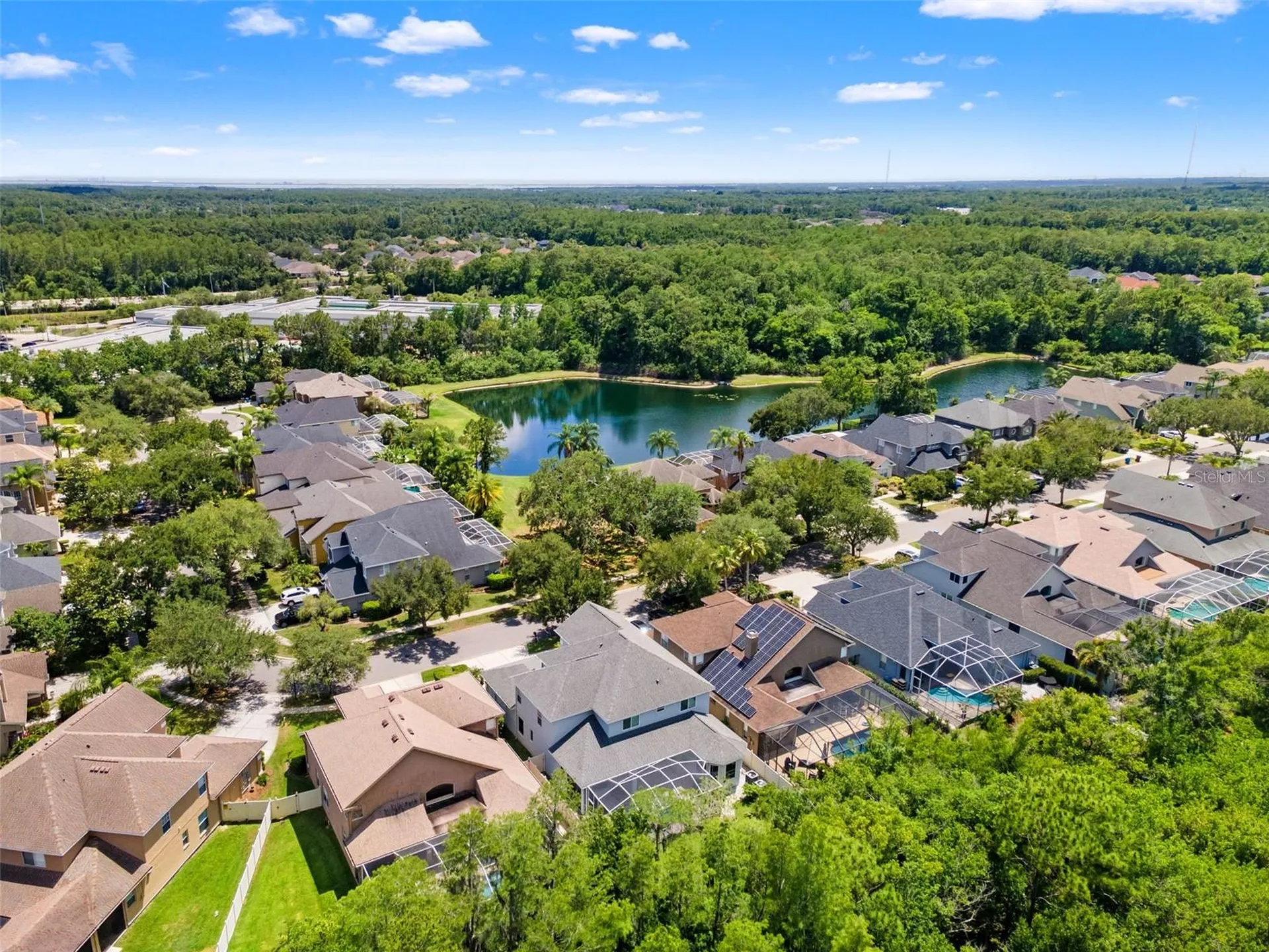 11621 Renaissance View Court Tampa FL 33626