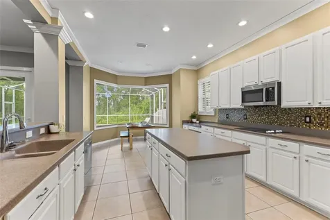 11621 Renaissance View Court Tampa FL 33626