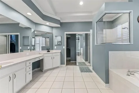 11621 Renaissance View Court Tampa FL 33626