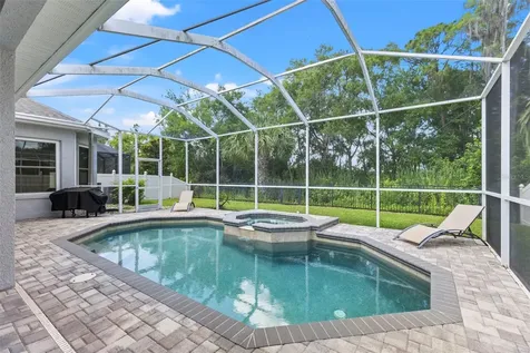 11621 Renaissance View Court Tampa FL 33626