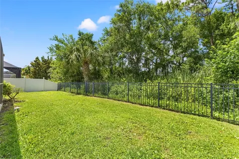 11621 Renaissance View Court Tampa FL 33626