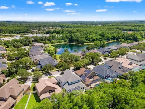 11621 Renaissance View Court Tampa FL 33626