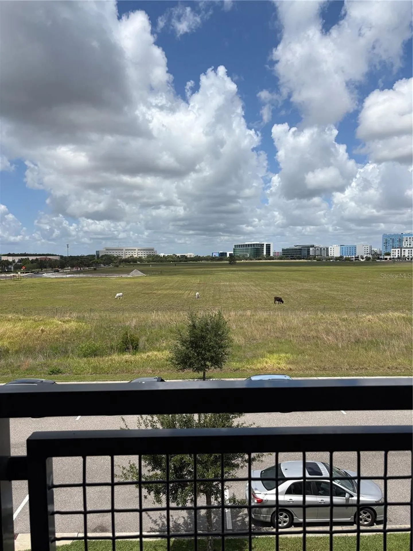 7521 Laureate Boulevard Orlando FL 32827