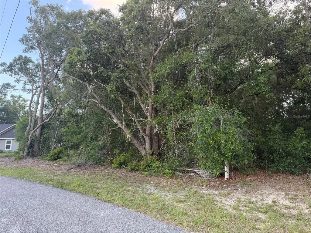 Lot 4 Ocala FL 34473
