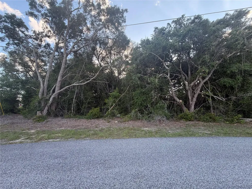 Lot 4 Ocala FL 34473