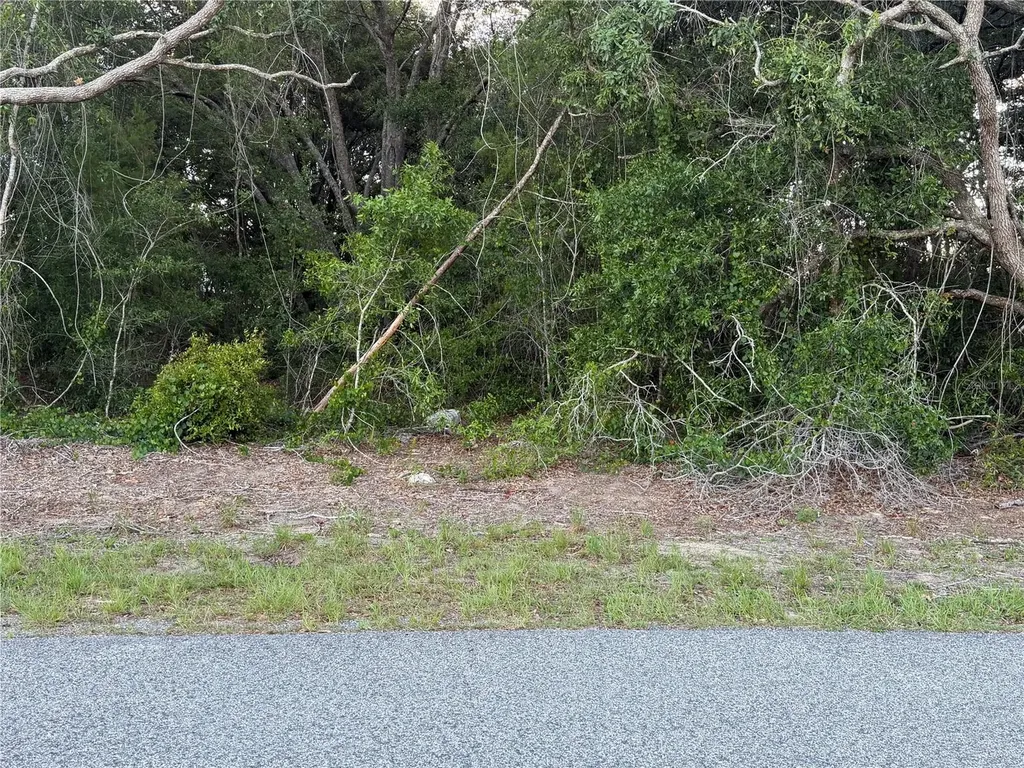 Lot 4 Ocala FL 34473